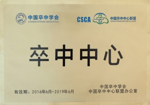 中国卒中学会、中国卒中中心联盟——卒中中心
