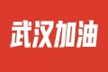 北流市援助湖北抗疫医疗队抵达武汉前线