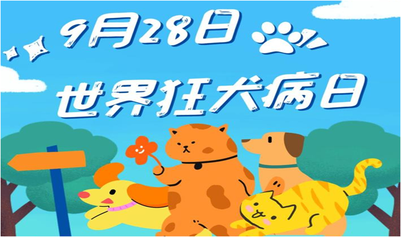 未命名_副本